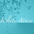 Real White Noise