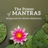 Meditation Mantra Academy