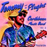 Tommy and the Plugins Caribbean Music Band