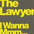 The Lawer