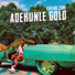 AdeKunle Gold