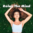 Relaxed Mind Music Universe, Mindfulness Meditation Universe, Brain Study Music Guys