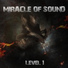 Miracle Of Sound