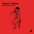 Jamie Cullum