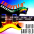 David Garfield feat. Brent Mason, Paul Franklin, Michael Thompson, Oz Noy, Toshi Yanagi, Dan Dugmore, Davide Pannozzo