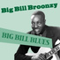 Big Bill Broonzy