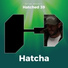 Hatcha