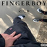 Fingerboy