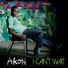 08.Akon feat T-Pain