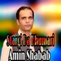 Amin Shabab