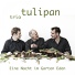 Trio Tulipan