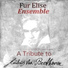 Fur Elise Ensemble