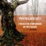 Pier Paul Berzaitz feat. Orkestre Symphonique du Pays Basque