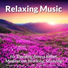 Relaxing Music Therapy, Yoga Music, Relaxing Music by Jonas Veleba