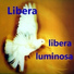 Libera