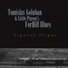 Tomislav Goluban & Little Pigeon's Forhill Blues (2010)