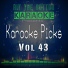 Hit The Button Karaoke (Karaoke Picks, Vol. 43)