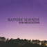 Sounds of Nature Relaxation