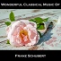 Wonderful Classical Music Of Franz Schubert