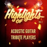 Acoustic Guitar Tribute Players