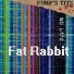 Fat Rabbit