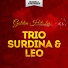 Trio Surdina & Leo Peracchi