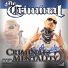 (41 Hz) Mr. Criminal (Bass Club Production)