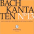 Chor & Orchester der J.S. Bach-Stiftung, Rudolf Lutz & Wolf Matthias Friedrich