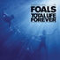 Foals