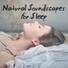 Restful Sleep Music Collection, Sounds of Nature Kingdom