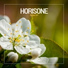Horisone
