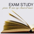 Exam Study Classical Music Orchestra