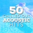 Acoustic All-Stars, Acoustic Guitar Songs, Acoustic Hits, The New Coldmans