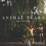 Animal Years