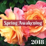 Spring Awakening