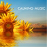 Calming Music Academy