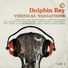 Dolphin Boy feat. Donal O'Connor, John McSherry