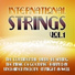 The New 101 String Orchestra