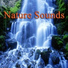 Natural Sounds