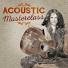 Acoustic Hits, Best Guitar Songs