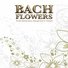 Bach Flowers Dose