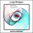 Luigi Bridges