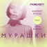 Andrey Pitkin feat. Lera Papish