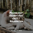 Jazz Music Therapy for Cats, Official Pet Care Collection, Cat Music