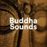 Buddha Sounds & Frank Piano