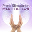 Relaxation & Meditation Academy, Interstellar Meditation Music Zone, Chakra Yoga Music Ensemble