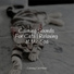 Music for Cats Deluxe, Cat Music Experience, Music For Cats