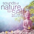 Sounds of Nature White Noise for Mindfulness, Meditation and Relaxation