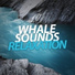 Whale Sounds For Relaxation