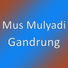 Mus Mulyadi